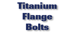 Titanium Flange Bolts