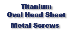 Titanium Oval Head Sheet Metal Screws