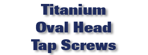 Titanium Oval Head Tap Screws